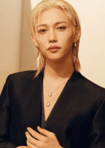 Stray Kidsフィリックスの写真